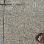 A typical U.S. concrete sidewalk